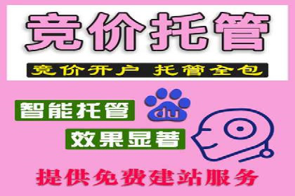 百度推广运营案例精选：揭秘成功之道